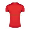 Iran Uit Shirt 2026